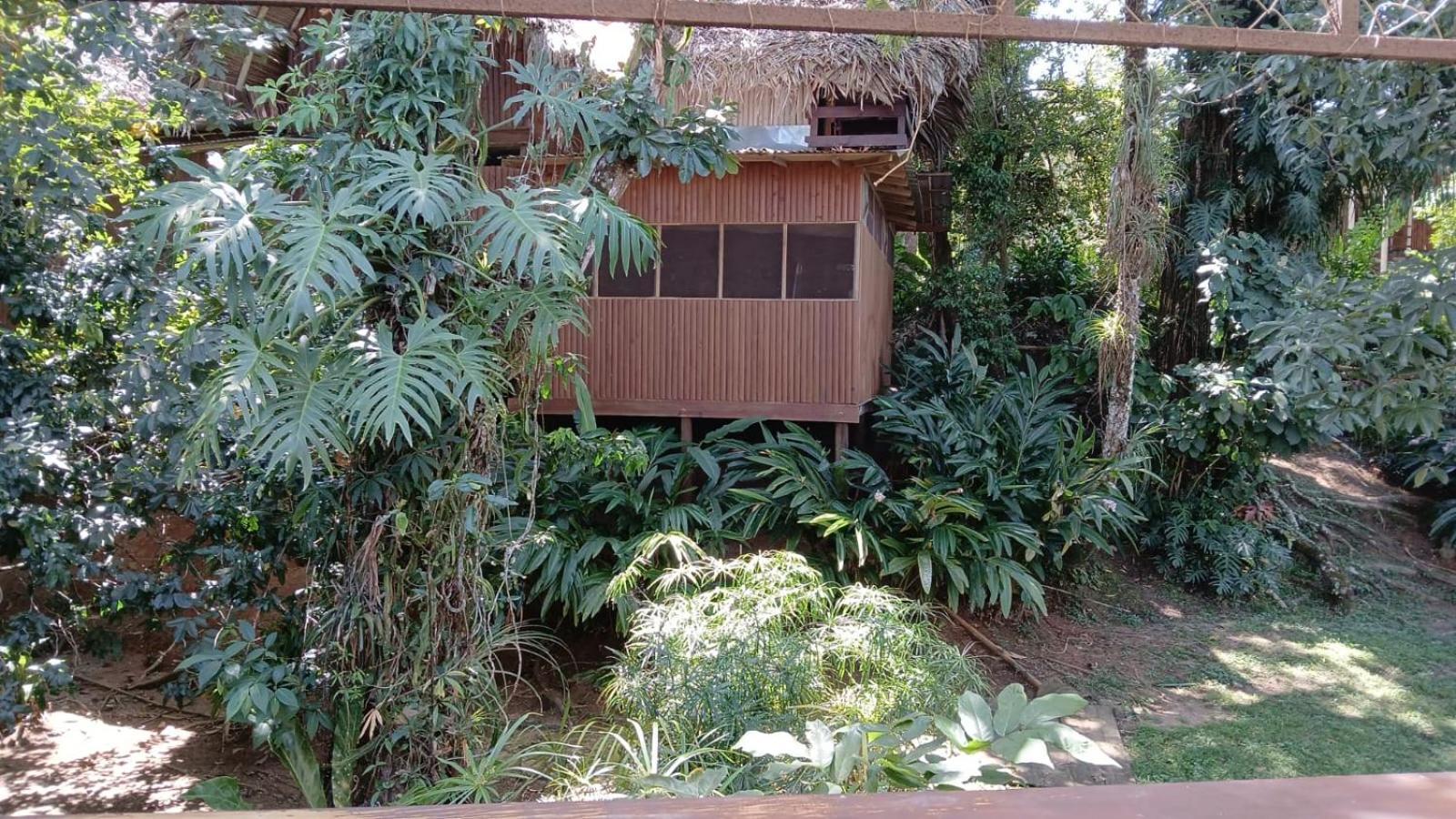 Tortugal Boutique River Lodge Rio Dulce Town Exteriér fotografie